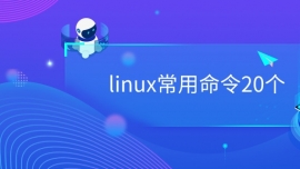 linux20(g)